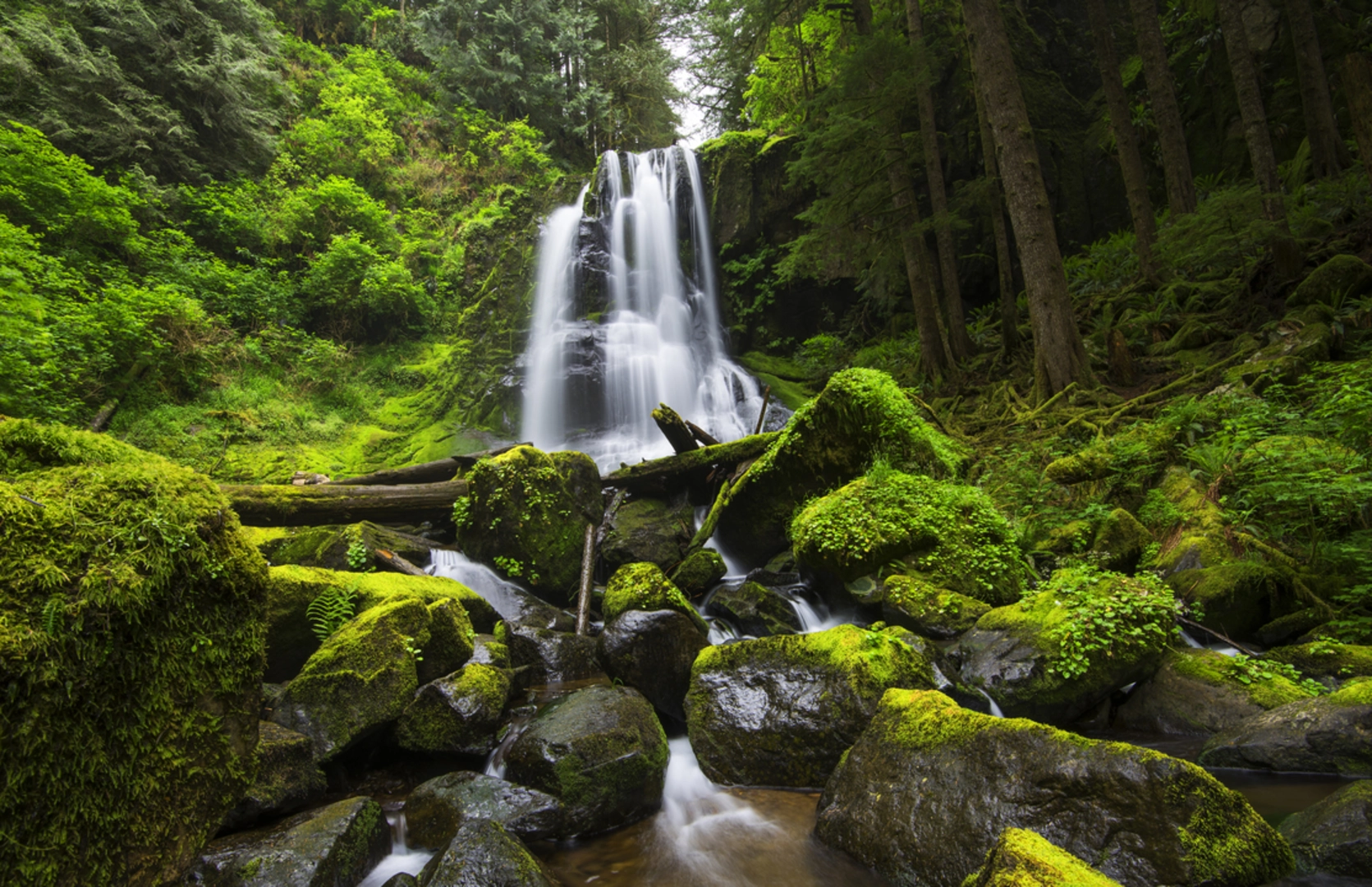 An image depicting the trail Kentucky Falls Trail and its surrounding area.