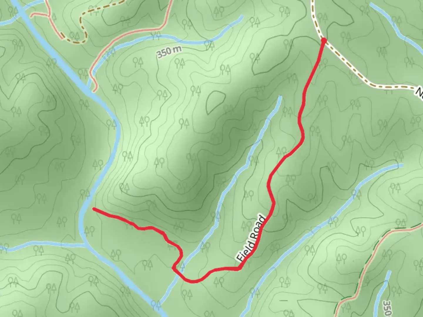 An image depicting the trail Amicalola Creek Camp Trail and its surrounding area.
