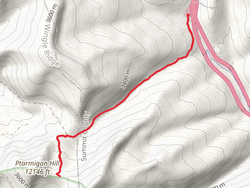 Ptarmigan Hill Out and Back