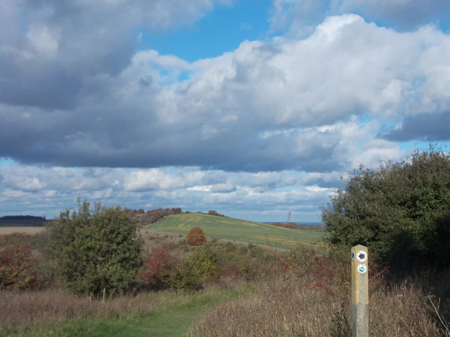 An image depicting the trail Sandy Loop and its surrounding area.