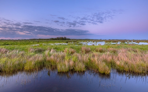 Eelde-Paterswolde to Zuidlaarderveen via Meerweg, Zuidlaarderweg and Pollseweg