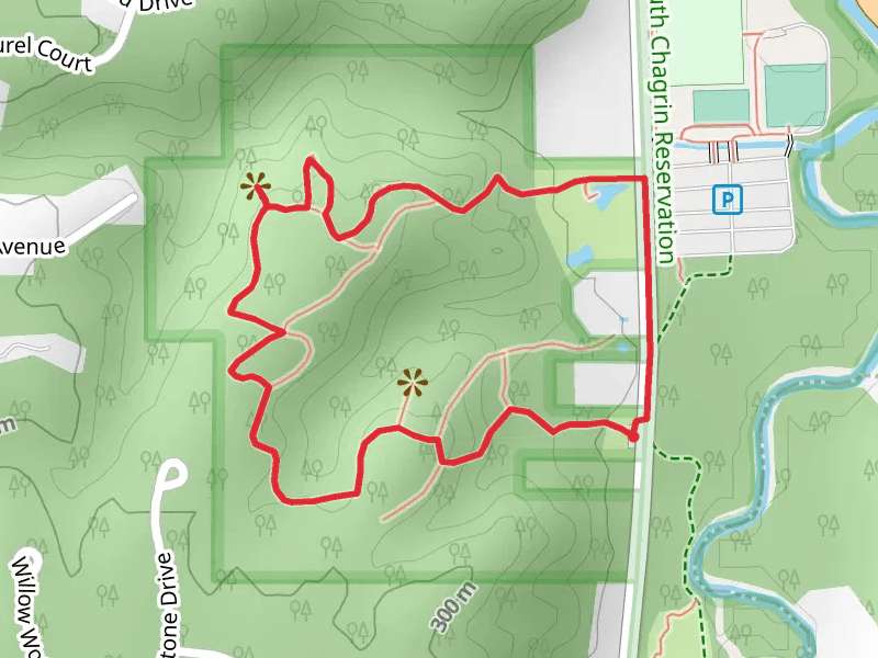 Forest Ridge Preserve Loop