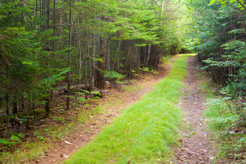 International Appalachian Trail - Maine