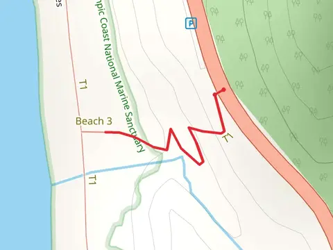 Beach 3 Nature Trail