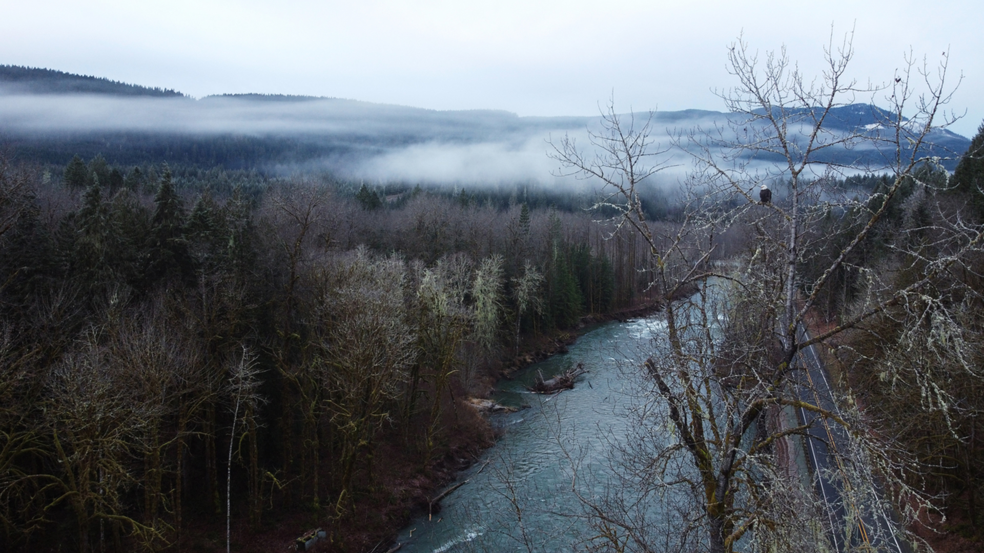 An image depicting the trail Old Sauk Loop Trail and its surrounding area.