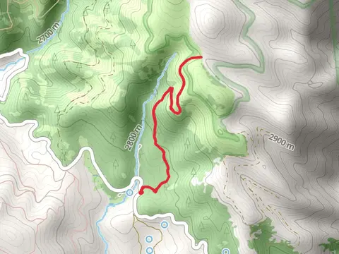 Big Creek Trail