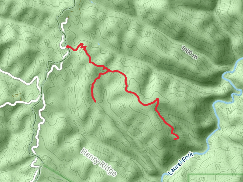 Lost Trail
