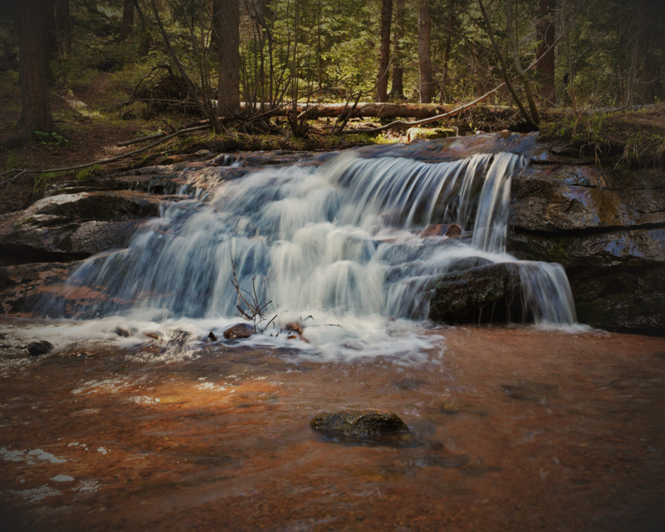 An image depicting the trail Cub Creek Trail to North Elk Trail and its surrounding area.