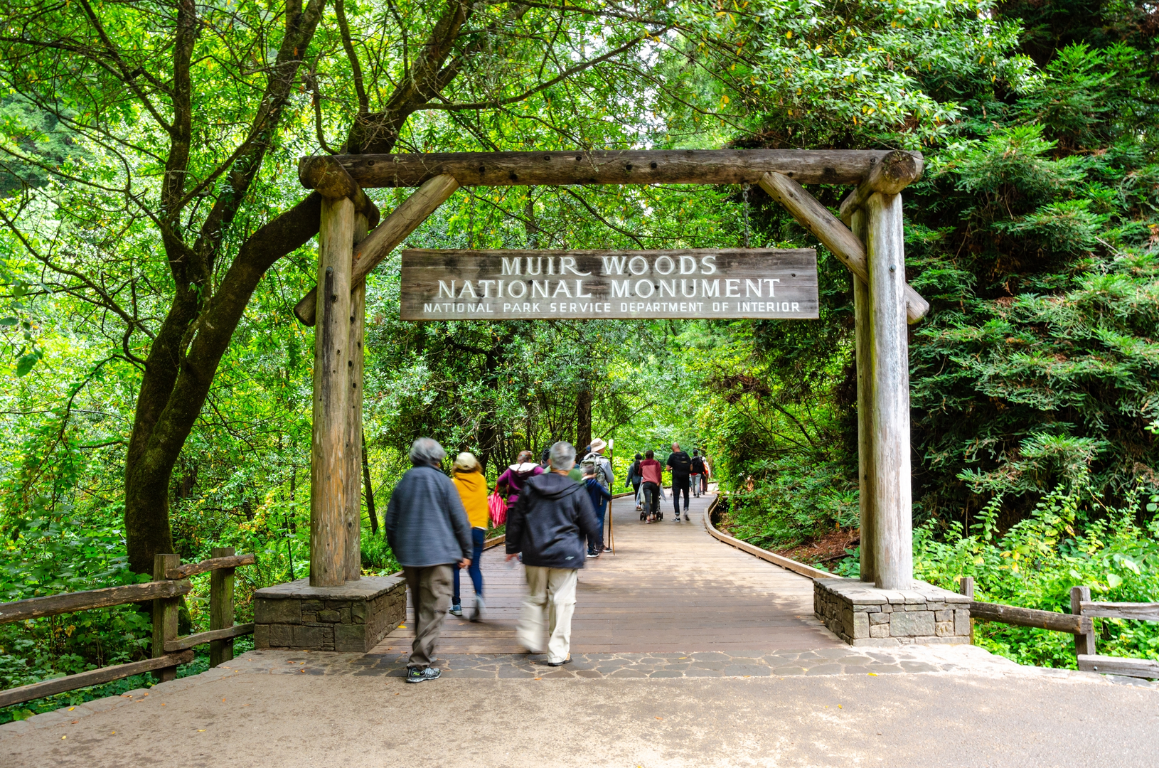 An image depicting the trail Ocrean View, Canopy and Redwood Loop Trail and its surrounding area.