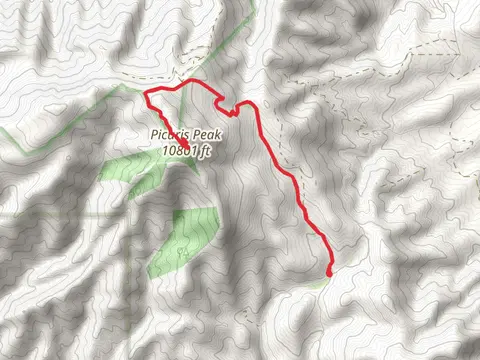 Picuris Peak via Lookout Road