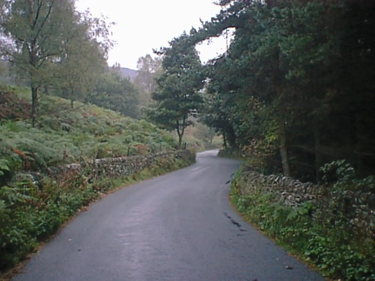 An image depicting the trail Beeley Village - Beeley Plantation and Rabbit Warren and its surrounding area.