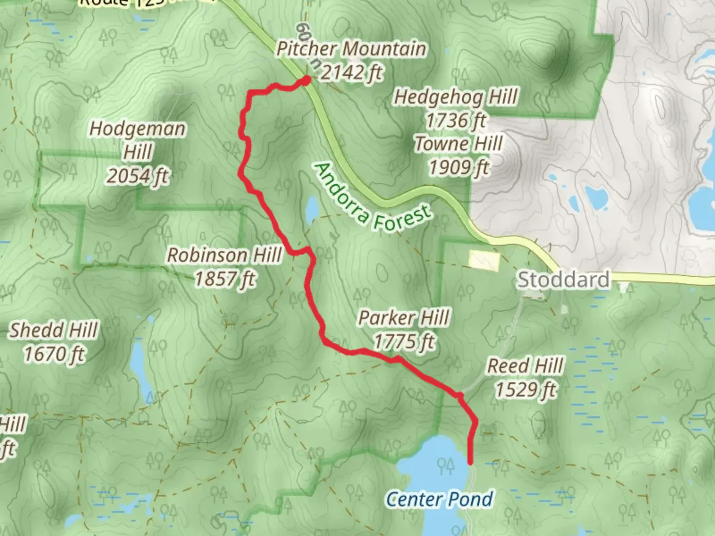 An image depicting the trail Center Pond via Monadnock Sunapee Greenway Trail and its surrounding area.