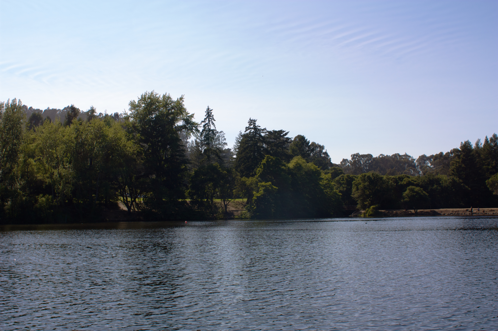 An image depicting the trail Vollmer Peak - Lake Anza Loop and its surrounding area.