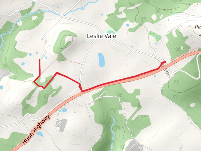 Leslie Vale Track