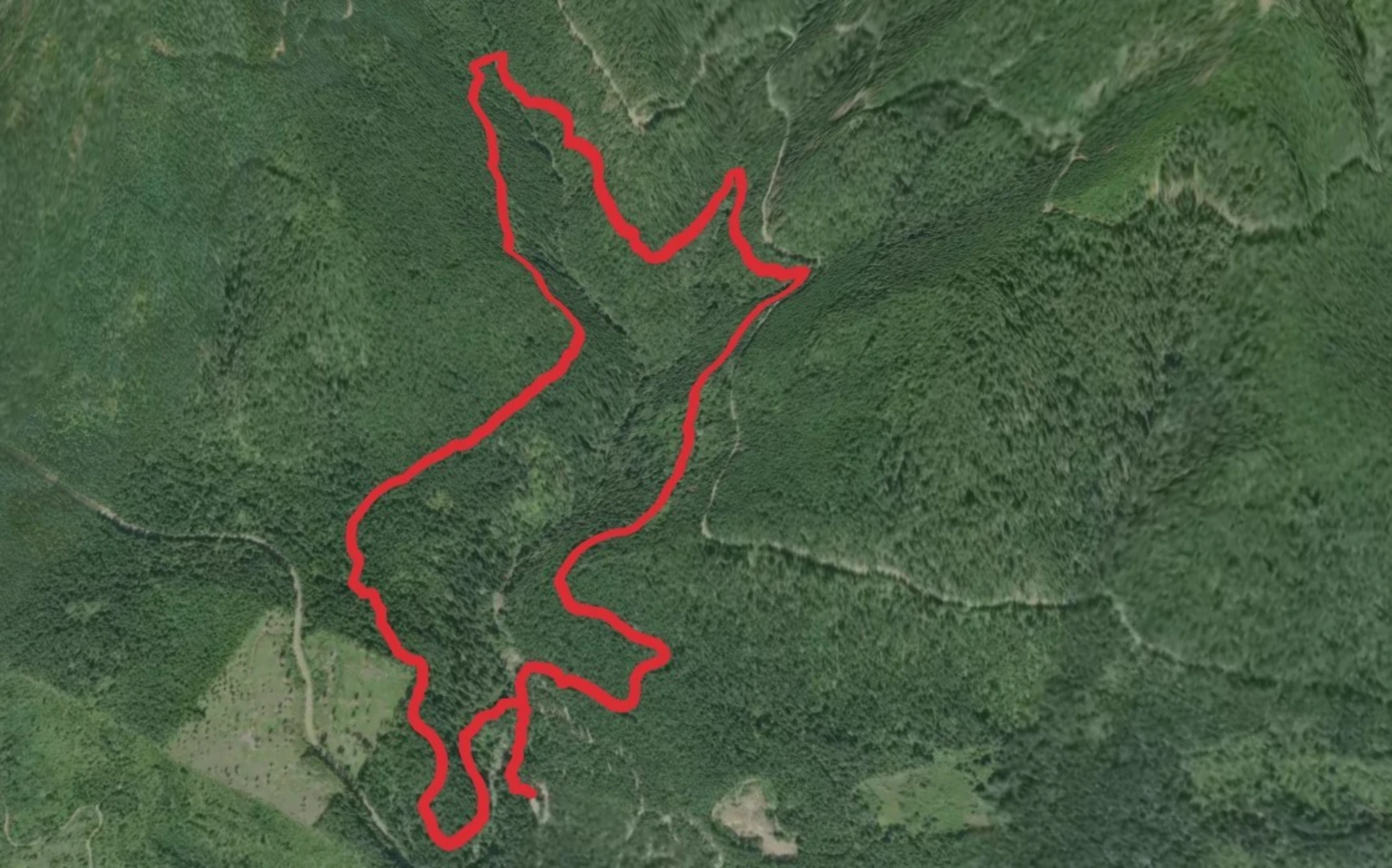 An image depicting the trail Upper Big Creek Loop Trail and its surrounding area.