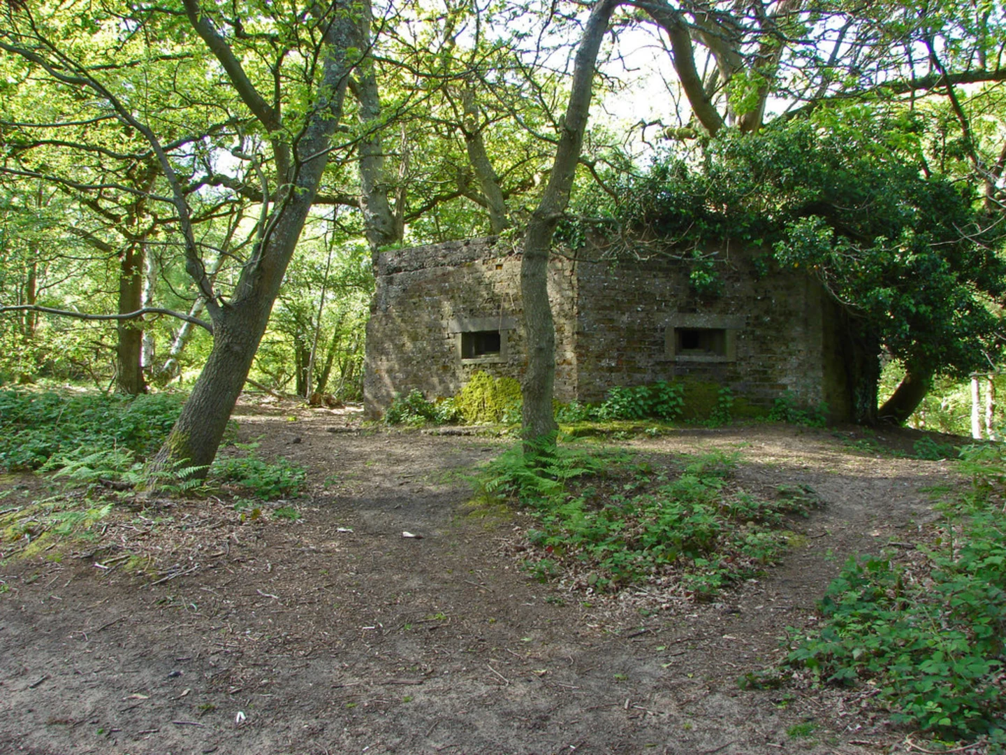 An image depicting the trail St Martha's Church and Hill Loop and its surrounding area.