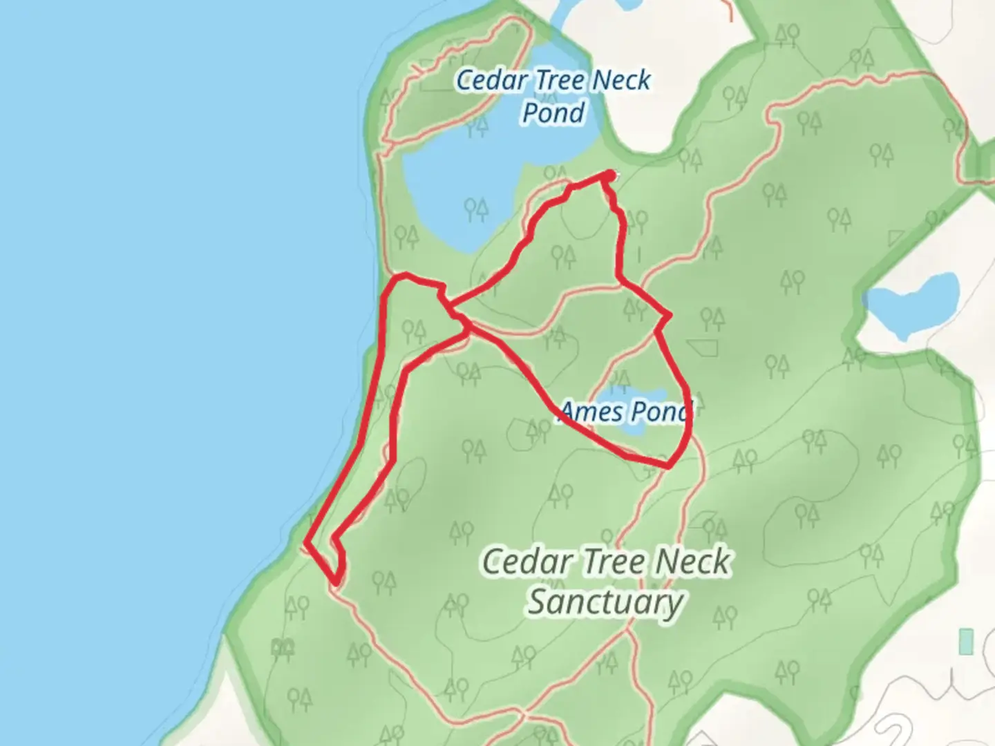 An image depicting the trail Ames Pond and Cedar Tree Neck Pond Loop and its surrounding area.
