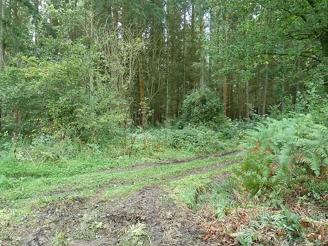 Duddon Bridge and Furnace Wood