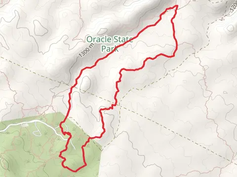 Nature, Wildlife Corridor and Kanally Wash Loop Trail