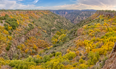Sycamore Basin Trail