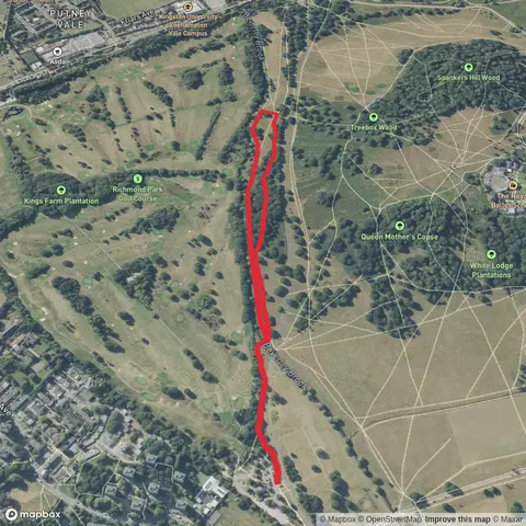 Killcat Wood via Beverley Brook Walk