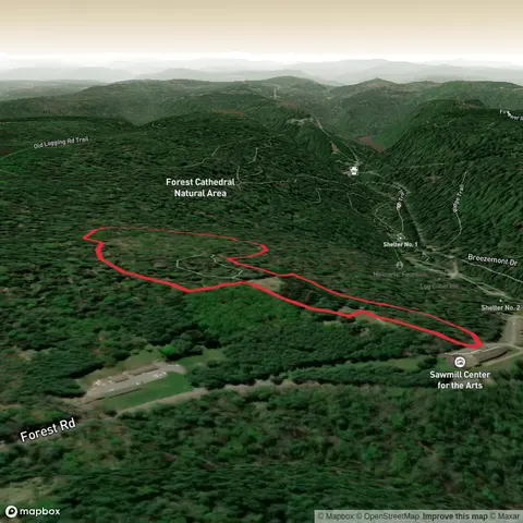 Black Bear Trail