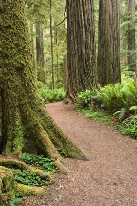 Hatton Trail