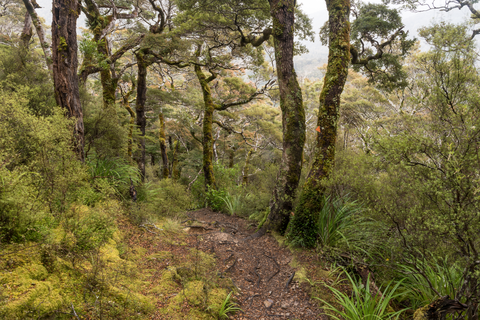 Gentle Annie Saddle via Holdsworth Lookout