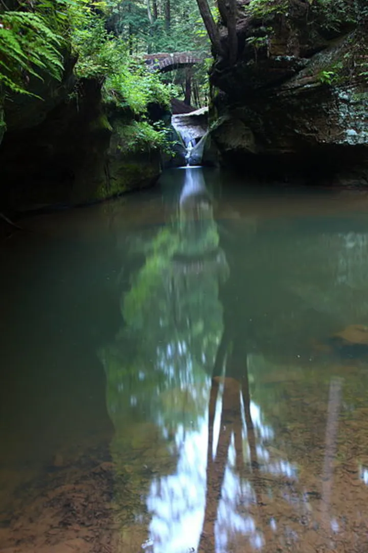 An image depicting the trail Devils Fork Loop Trail and its surrounding area.