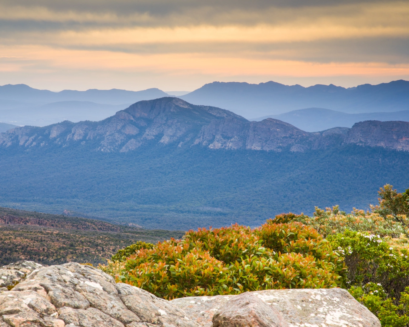 An image depicting the trail Kalymna Falls - Mt William - Bomjinna Trail and its surrounding area.