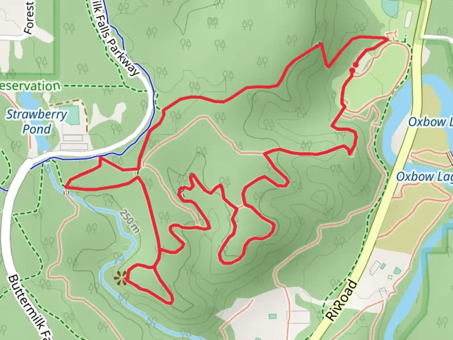 An image depicting the trail Squire's Lane Trail, Bridle Trail and White Pine Loop Trail and its surrounding area.