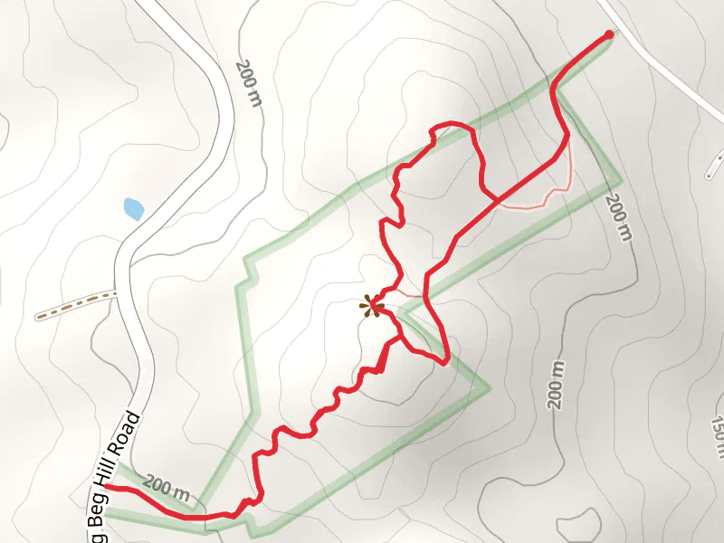 Bauneg Beg and Ginny's Way Loop Trail
