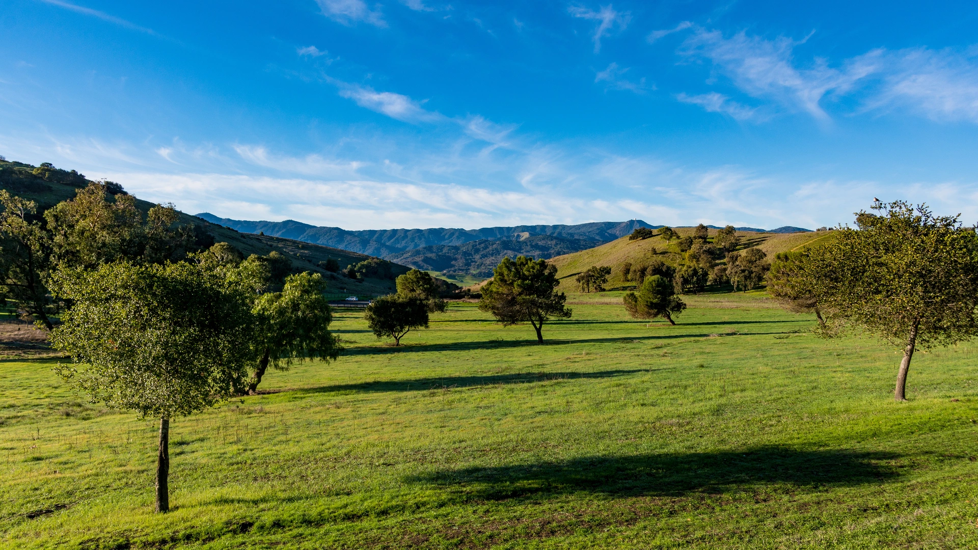 An image depicting the trail Bernal Hill Loop via Joice Trail and its surrounding area.
