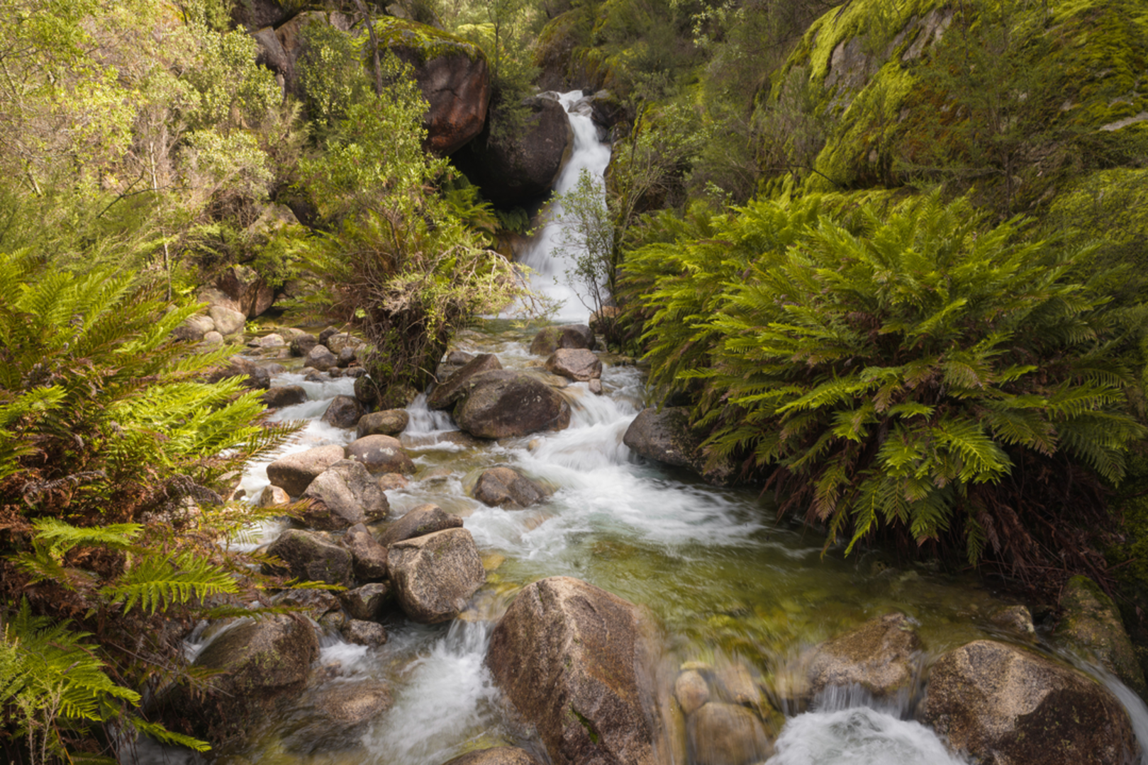 An image depicting the trail The Big Walk and its surrounding area.