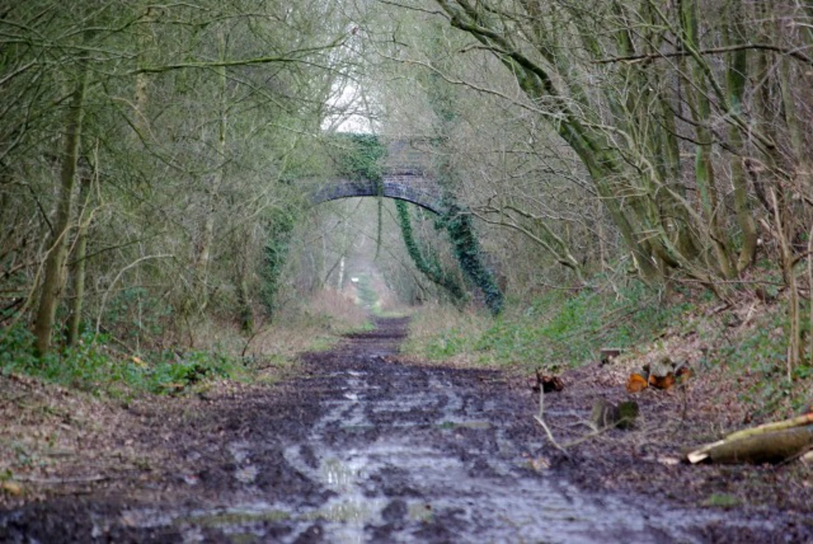 An image depicting the trail Kenilworth Greenway Walk and its surrounding area.