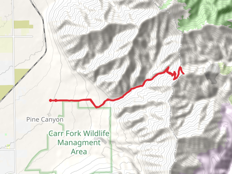 Pass Canyon and Barneys Peak Walk