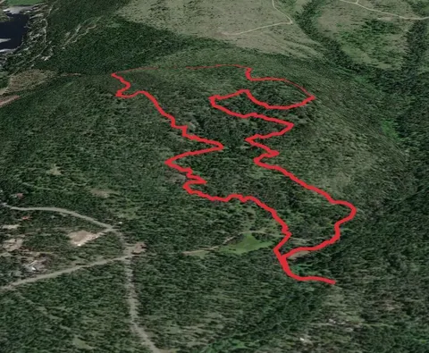 Springboard Trail