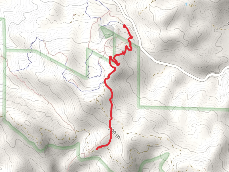 Rinconada Trail