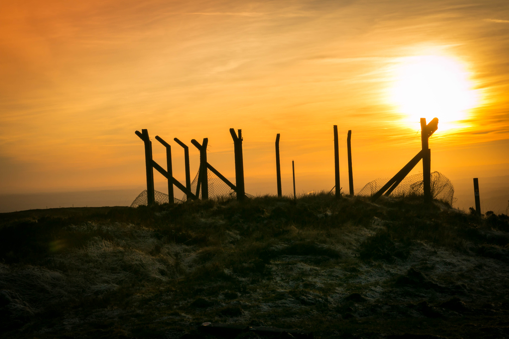 An image depicting the trail Graves of the Leinster Men Looped Walk and its surrounding area.