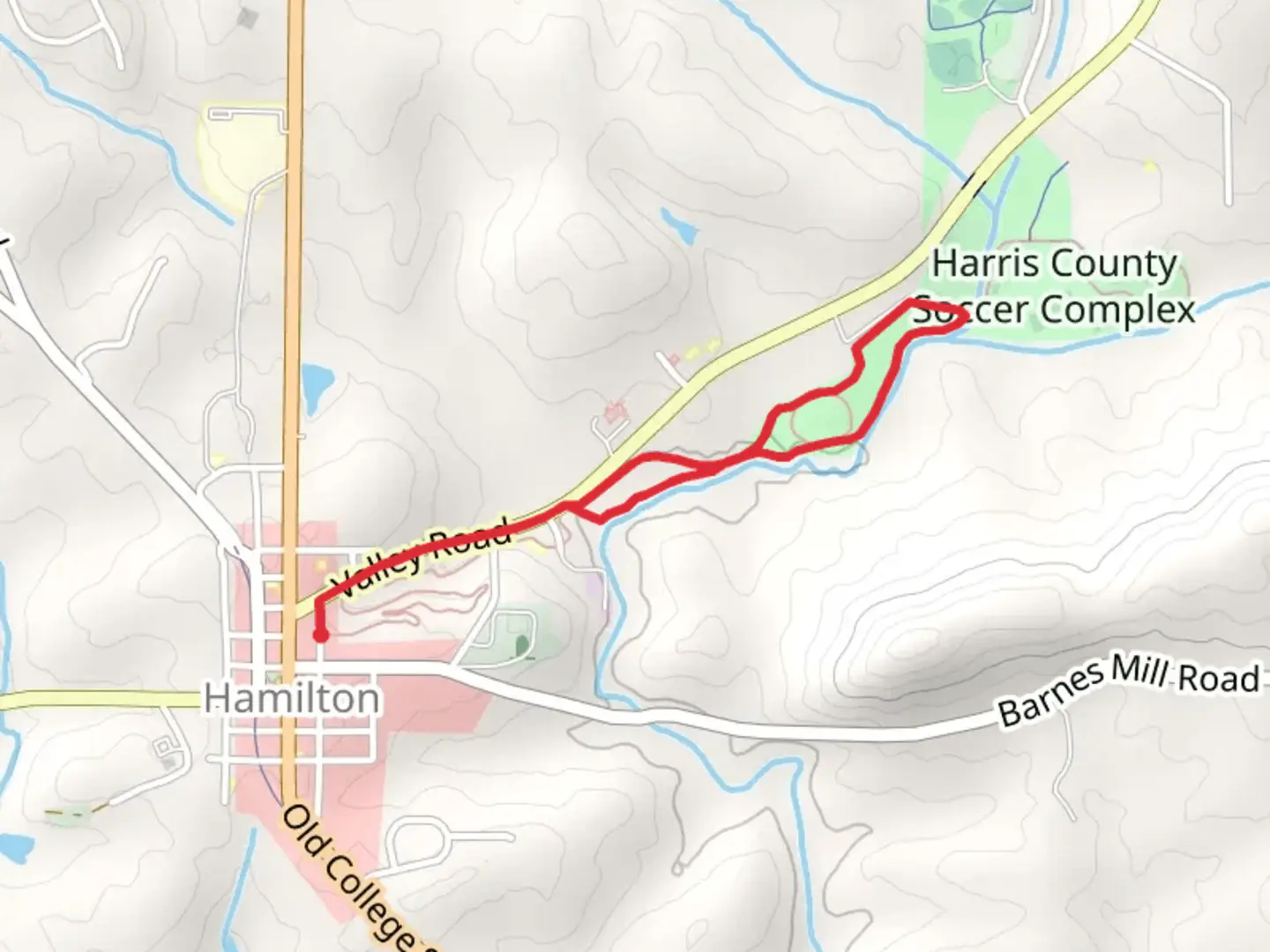 An image depicting the trail Palmetto Creek Loop and its surrounding area.