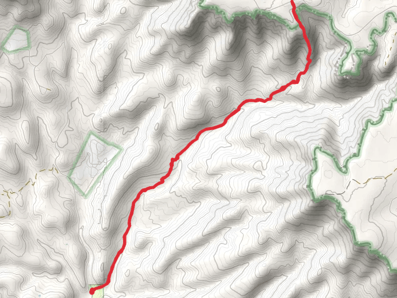 Horton Creek Trail