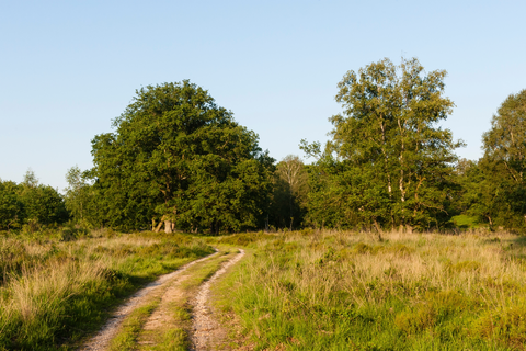 Drie Vennen, De Meinweg and Elfenmeer Loop