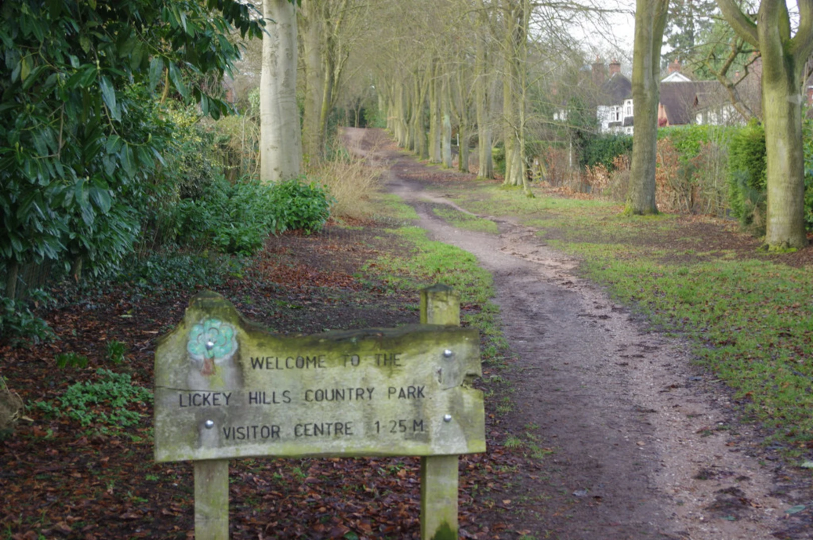 Lickey Hills Country Park Loop | Worcestershire | England