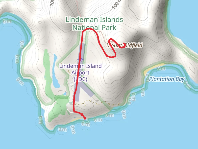 Mt Oldfield Track
