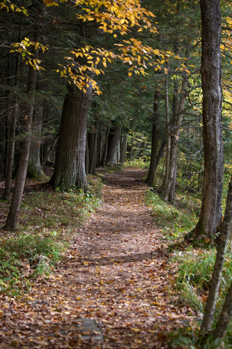 Ice Age National Scenic Trail - Lincoln And Langlade County
