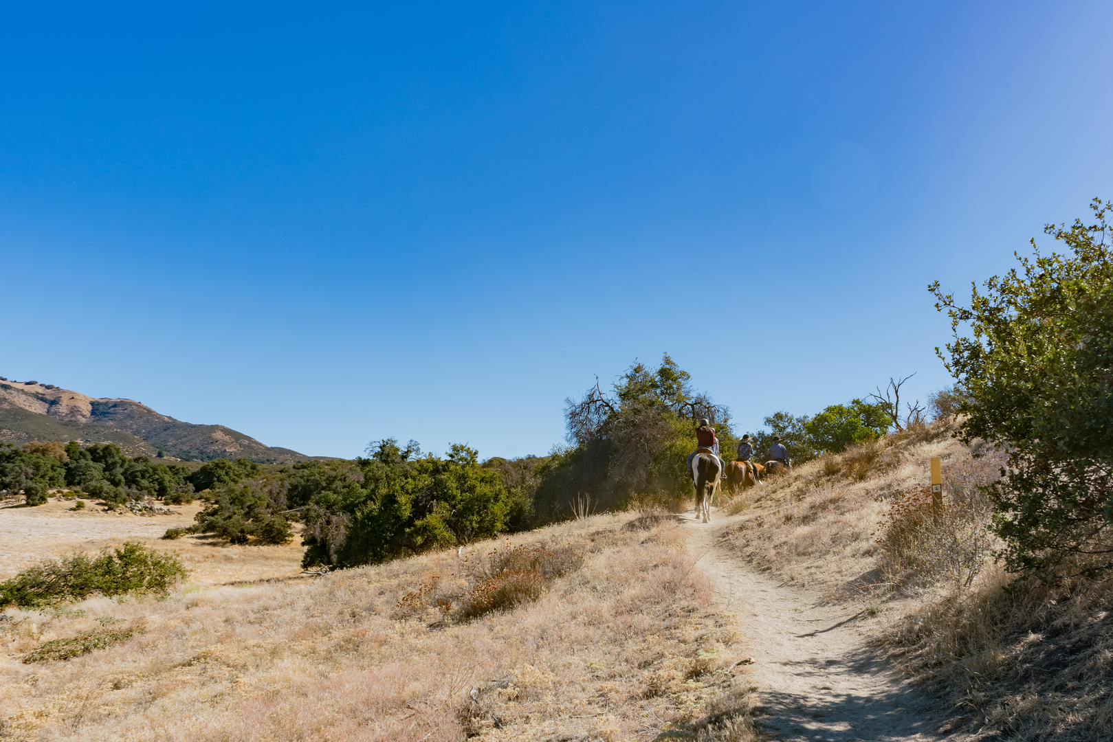 An image depicting the trail Pacific Crest Trail - California and its surrounding area.
