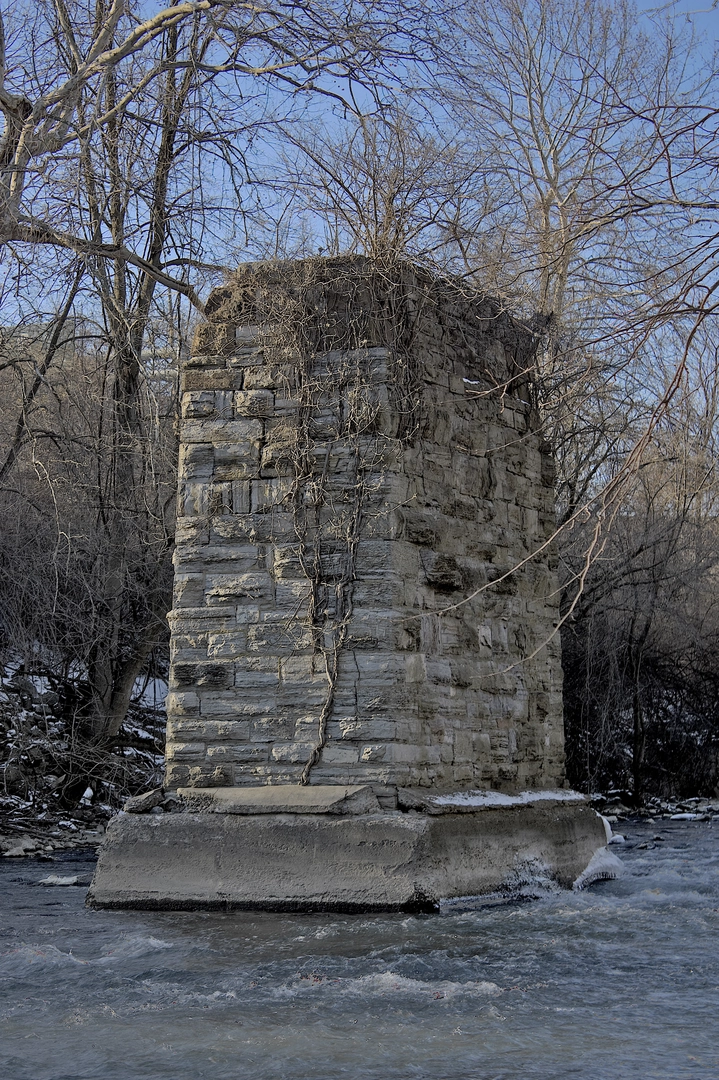 An image depicting the trail Tulpehocken Creek - Red Bridge Park and its surrounding area.