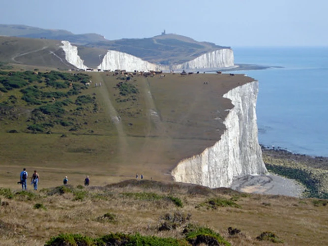 Friston Forest, Westdean, Seven Sisters Cliffs Loop - Jevington