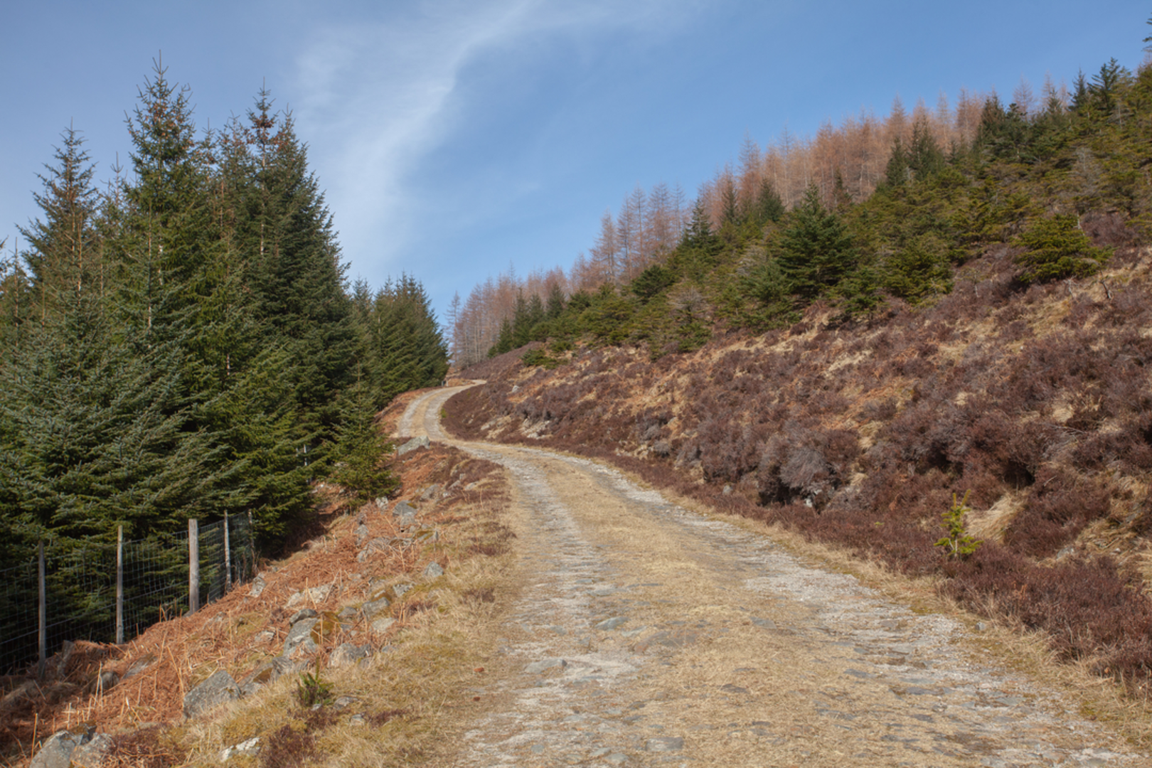 An image depicting the trail Meall Garbh - Ben Lawers and its surrounding area.