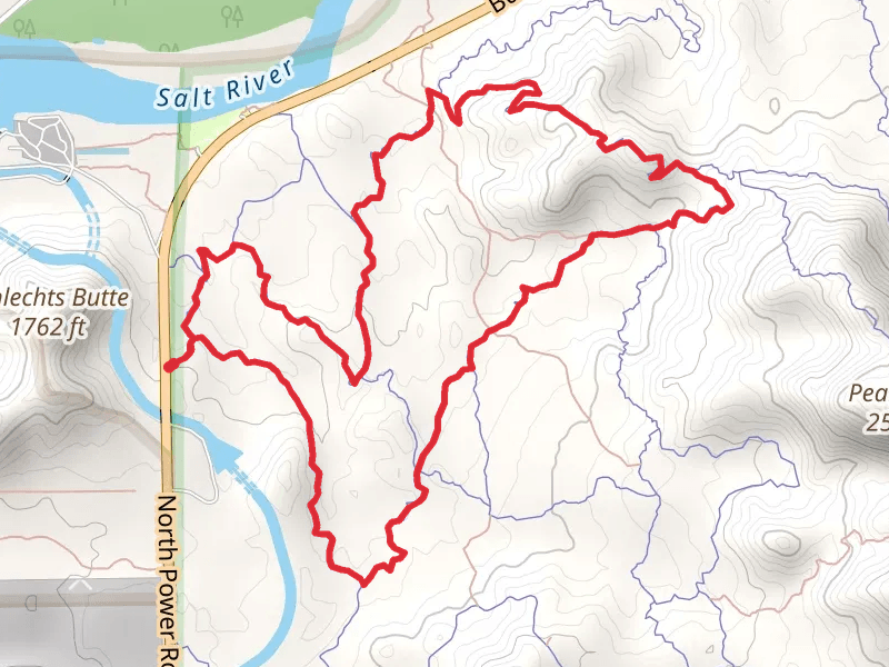 Saguaro Trail, Mine and Ridge Trail Loop